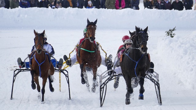公里的跑動 公里的跑動