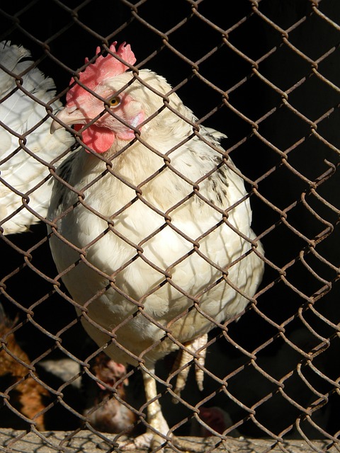 创造了一个 创造了一个