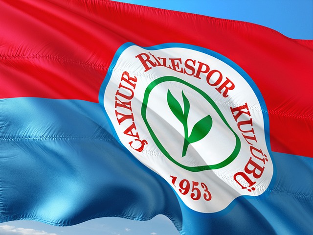 對籃球比賽 對籃球比賽