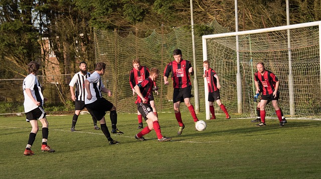 随着越来越 随着越来越