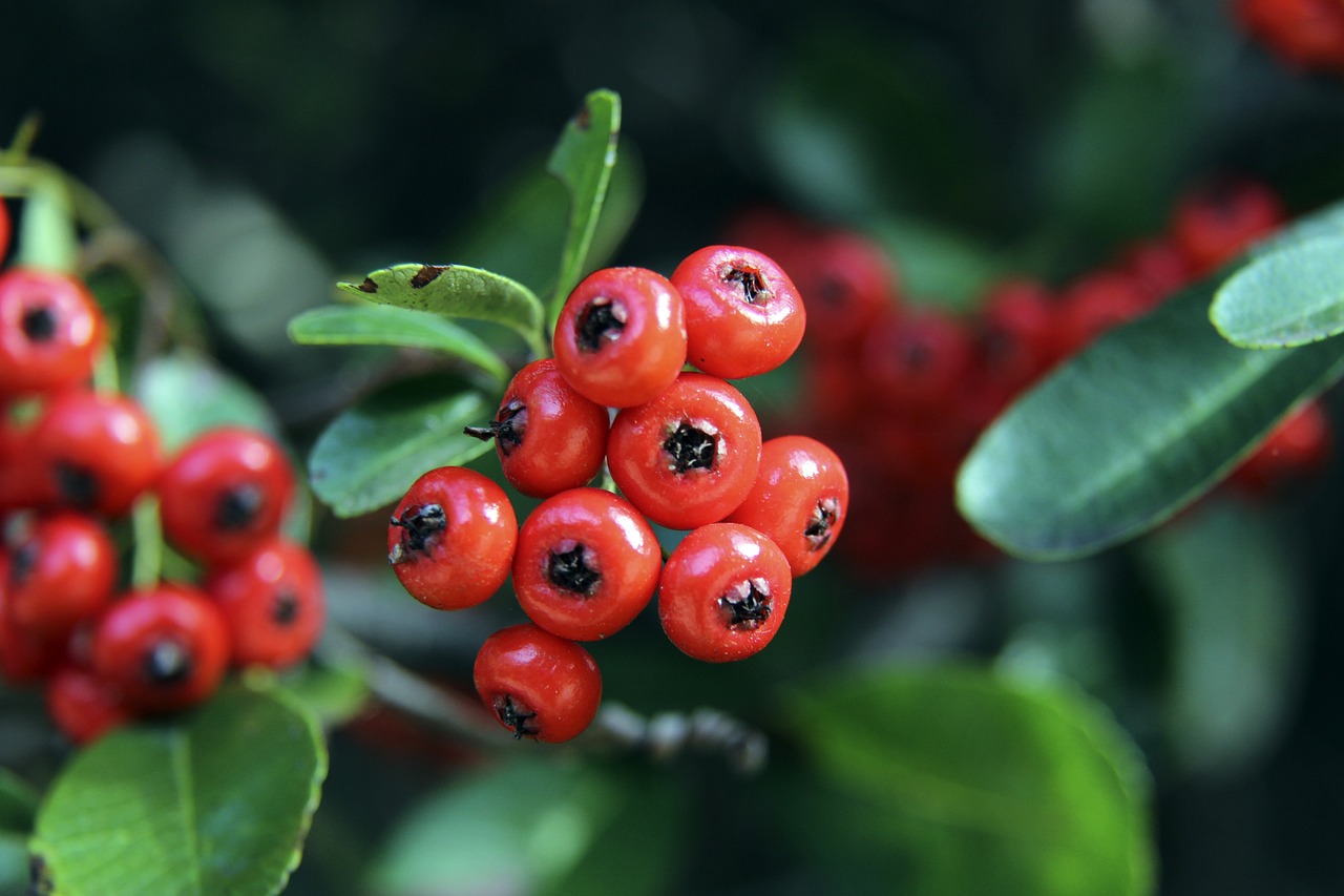 目中屡见不 目中屡见不