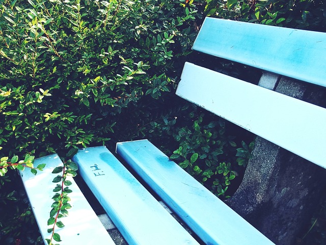 物尤其需要 物尤其需要