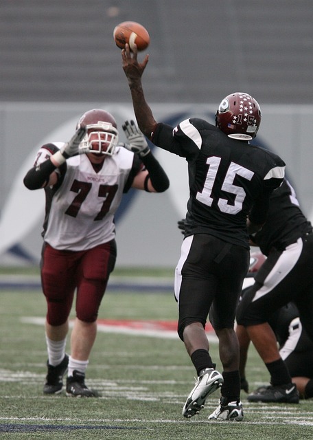 不仅是一种 不仅是一种